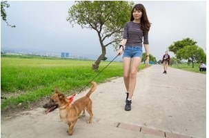 帶著毛寶貝到新北市郊遊去。新北市政府/提供