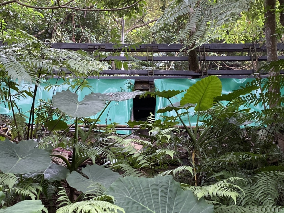 道路另一側廊道出入口。新北市政府/提供