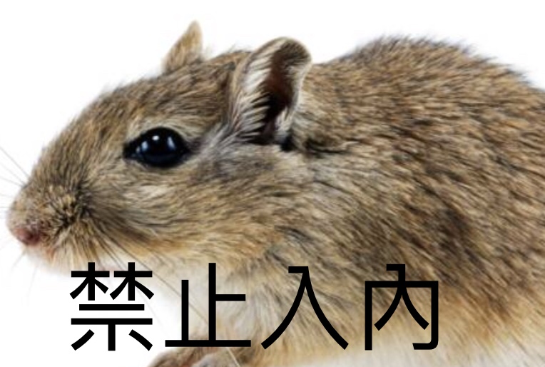 防止老鼠和鳥群侵入工廠。林國維/提供