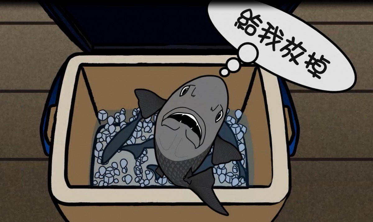 釣到小魚就放掉，讓牠有長大的機會（釣大放小）。新北市渔業處/提供