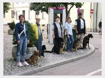 狗學校上課。劉威良/提供