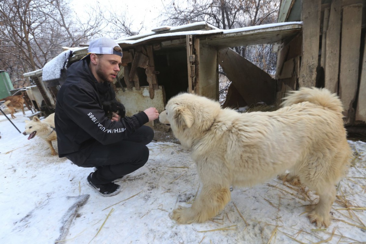 Kenworthy表示: 「這是我看過最讓人傷心的地方，看到狗狗住在那極惡劣的生活環境，我都心碎了。這些動物被對待的方式極不人道，沒有任何動物應該被飼養在這麼惡劣的環境下。我們也不該用文化之名，行殘酷之實。」來源: The Wall Street Journal