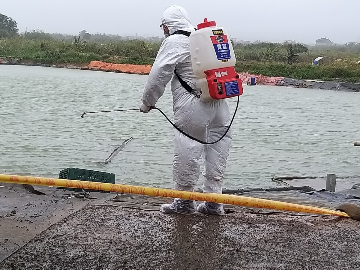 動保處協助周邊環境消毒。新北市政府/提供