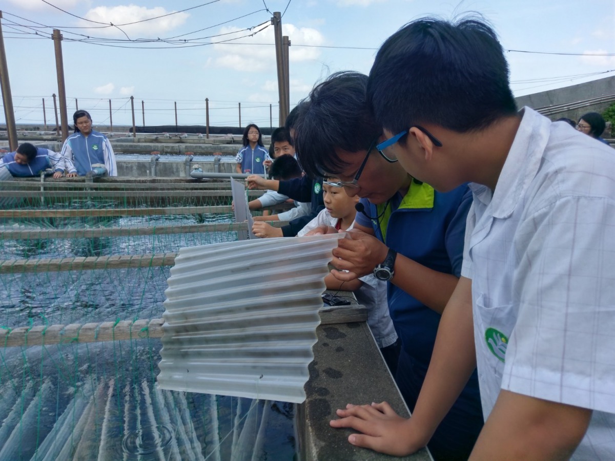 冬季限定！海洋資源復育園區九孔寶寶見面會！新北市政府/提供