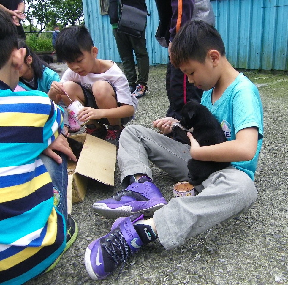 小朋友在動保小小兵體驗營，可以學習和動物培養感情及餵食動物的小技巧。新北市動保處/提供