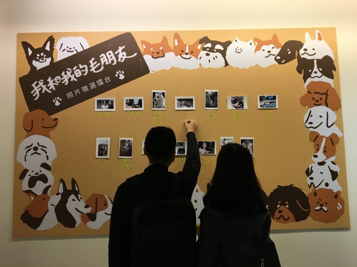 「我和我的毛朋友」照片徵選，由參觀民眾票選，每兩週統計前三名可獲小禮物。國立新竹生活美學館/提供