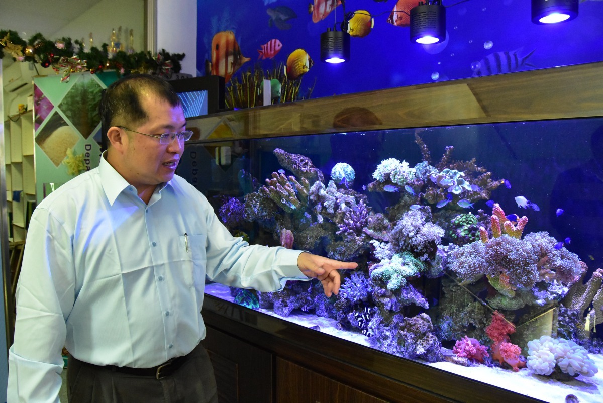 明道大學精緻農業學系何秉岳教授成功復育毛菇珊瑚(手指綠色處)。明道大學/提供