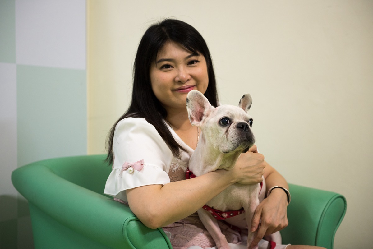 完整3循環放射治療計畫結束後，蔡小豬與飼主廖小姐開心回到過往健康的生活狀態。中臺科技大學/提供