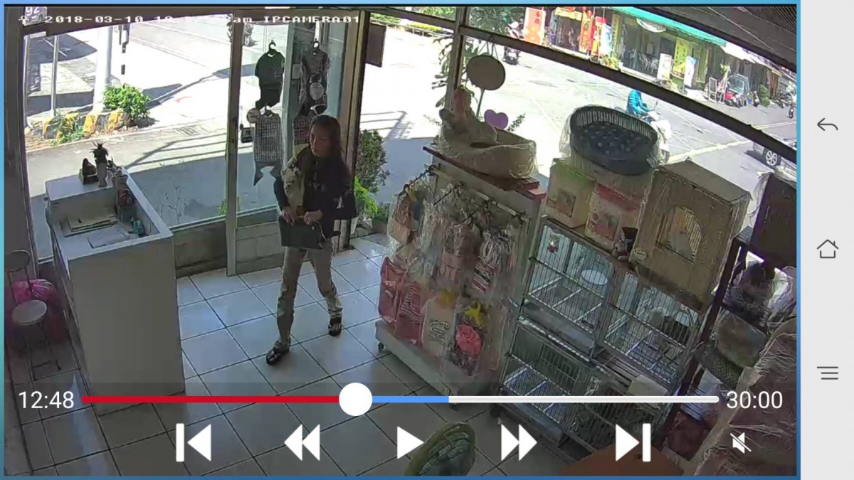 屏東縣政府公佈監視器畫面，號召社會大眾提供線索，並呼籲飼主盡速出面說明。屏東縣政府/提供