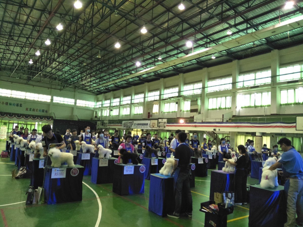 通過鑑定者將獲頒「美國Barkleigh寵物美容師職業資格鑒定證書」及「中國畜牧協會 NGKC鑒定證書」一考雙證。朱鈴玉/翻攝