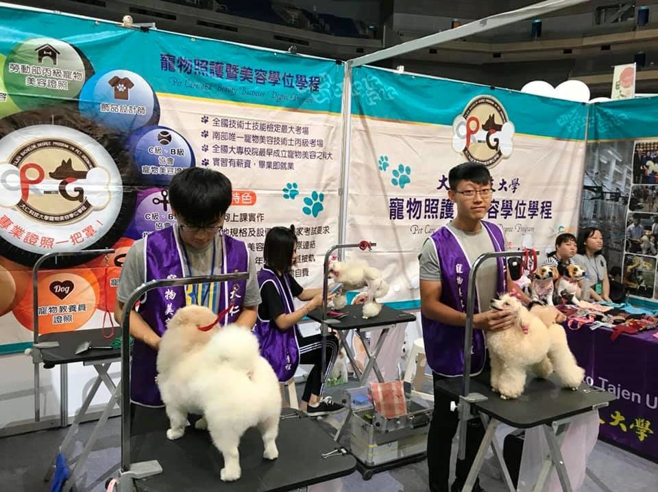 大仁科大寵物照護暨美容學程強調學生的專業技術和品德教育。大仁科技大學/提供