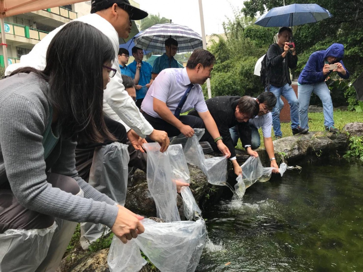 經由「臺灣梅氏鯿」的放流活動,復育臺灣梅氏鯿的族群,也可作為生態環境與情境教育場域。國立台灣海洋大學/提供
