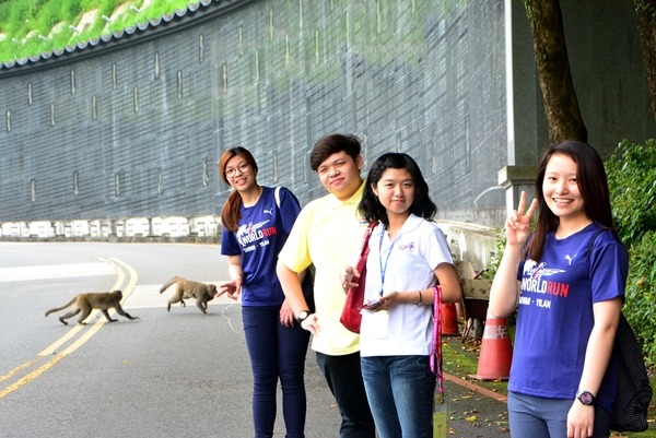 佛大師生遵守不餵食、不互動的規定，人猴互不干擾。佛光大學/提供