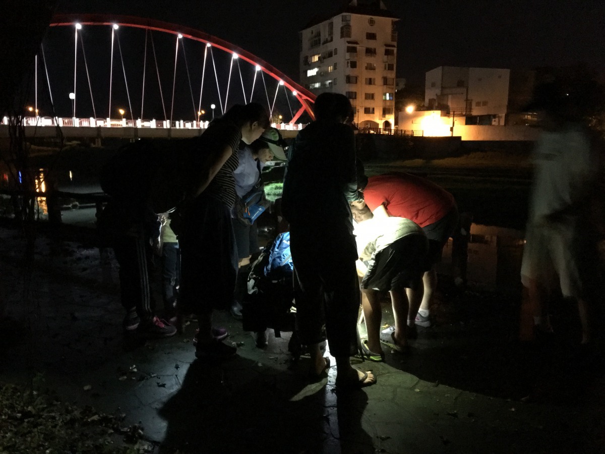 松園別館視野直對北濱海灘之美崙溪入海口,具有天然至高點的優勢,可俯瞰美崙溪入海處、花蓮港及太平洋海景,生態豐富。張峻豪/翻攝