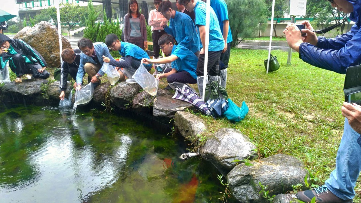 基隆高中規劃108年新課綱結合臺灣淡水魚、水生植物與生態環境,開設相關課程及招募志工學生。國立台灣海洋大學/提供