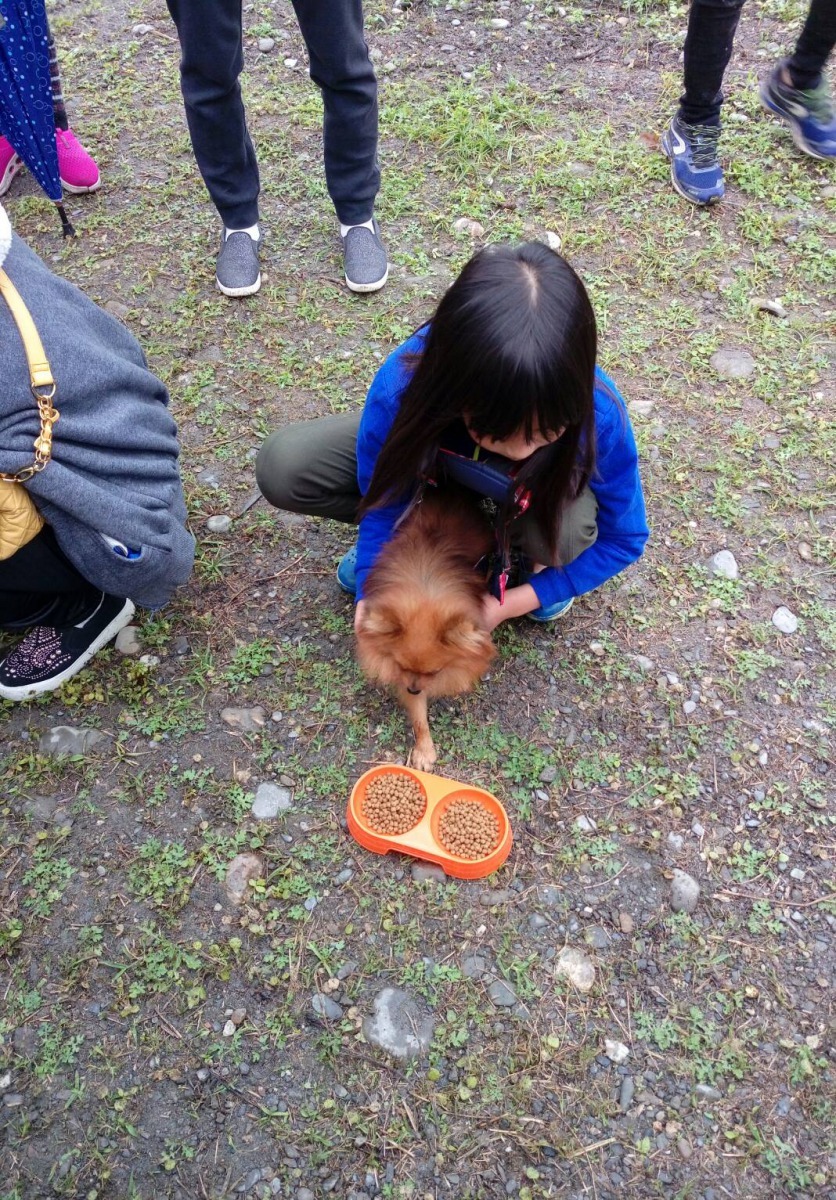 小主人帶著家中博美犬參加大胃王比賽。屏東縣政府/提供