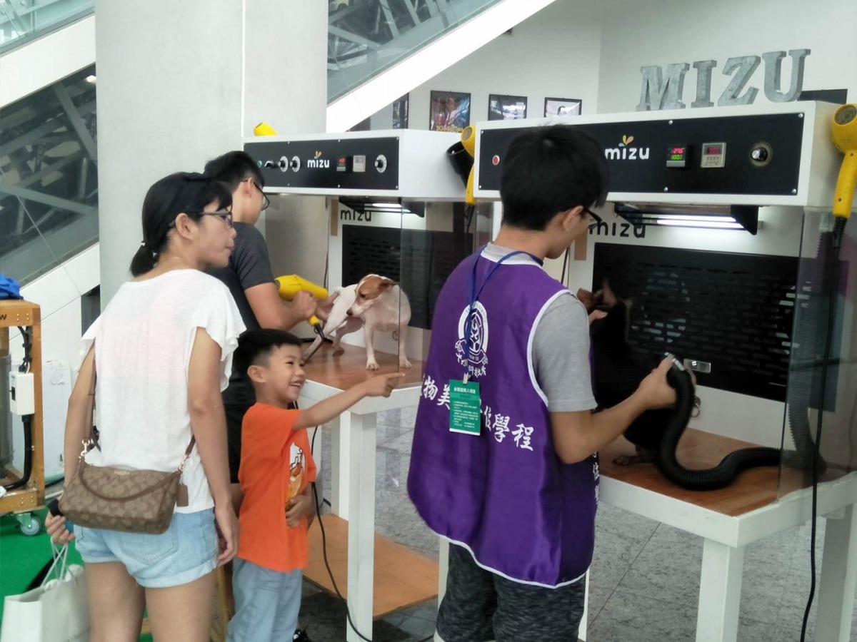 大仁科大學生現場為犬貓美容,引起不少民眾好奇觀看。大仁科技大學/提供