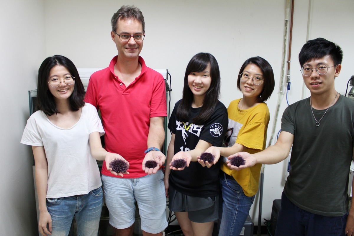 長庚大學傅崇安教授(左二)研究加州紫海膽免疫系統有重大突破。長庚大學/提供