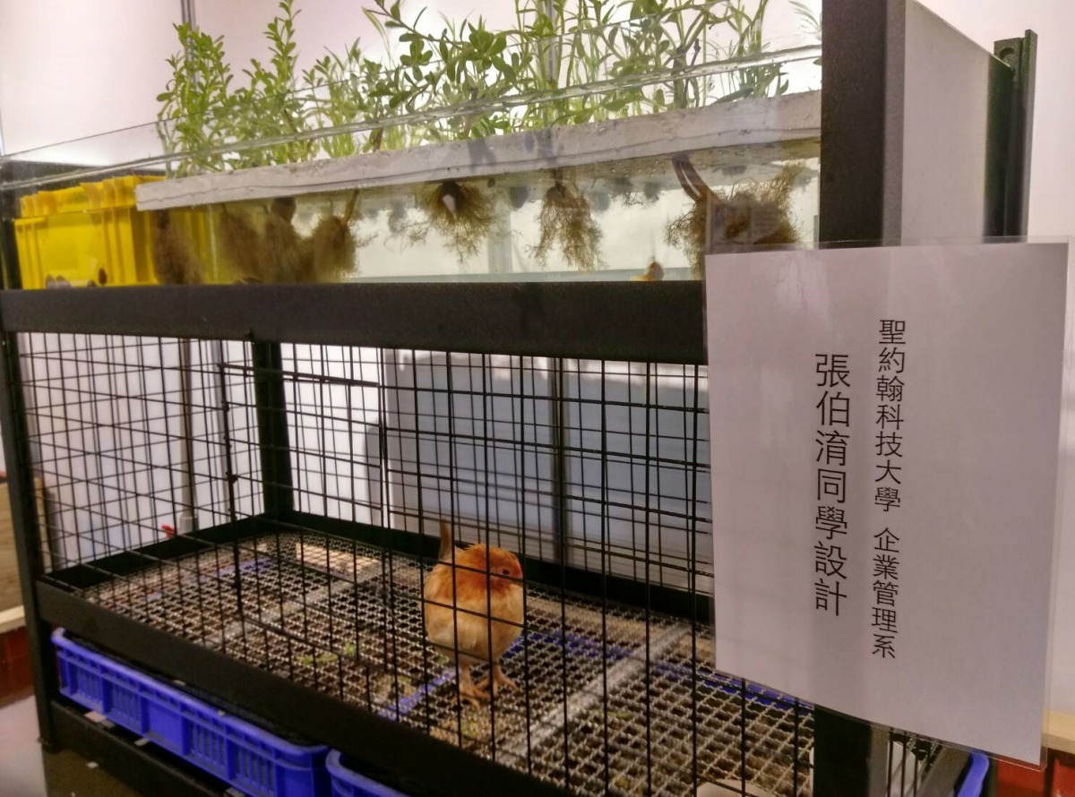 透過魚菜共生時代團隊們的協助，讓張伯淯得以實踐「有雞魚菜」系統的夢想，並以學校名義於《松菸水資源展》展出。聖約翰科技大學/提供