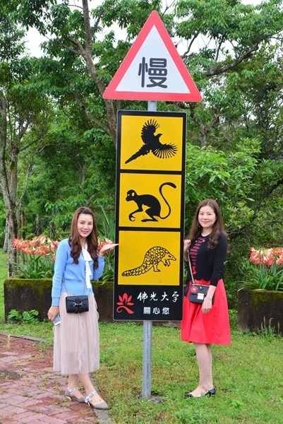 佛大設計以保育類動物台灣藍鵲、台灣獼猴和台灣穿山甲為主圖的交通號誌，提醒師生和遊客要小心慢行，成為打卡拍照熱點。佛光大學/提供