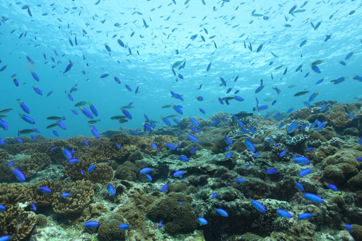 澎湖由90座島嶼所組成 富含多樣特色美景。國立高雄科技大學/提供