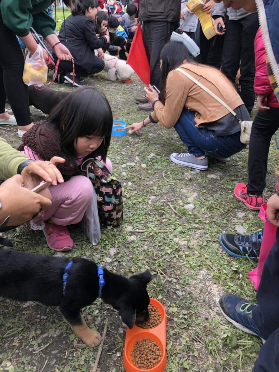 屏東縣舉辦第一屆有狗讚賽跑及大胃王寵物趣味競賽。屏東縣政府/提供