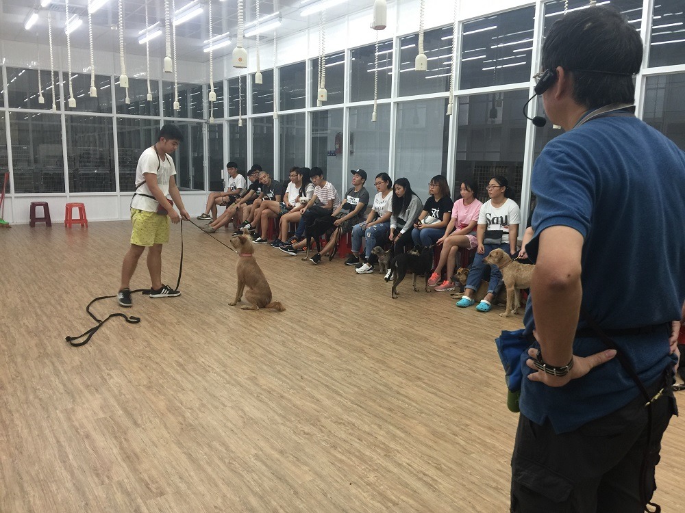 大仁科技大學寵物美容學位學程副教授，也是行為訓練及矯正的專家祁偉廉獸醫師帶領兩班學生針對犬隻的社會化和服從項目。大仁科技大學/提供