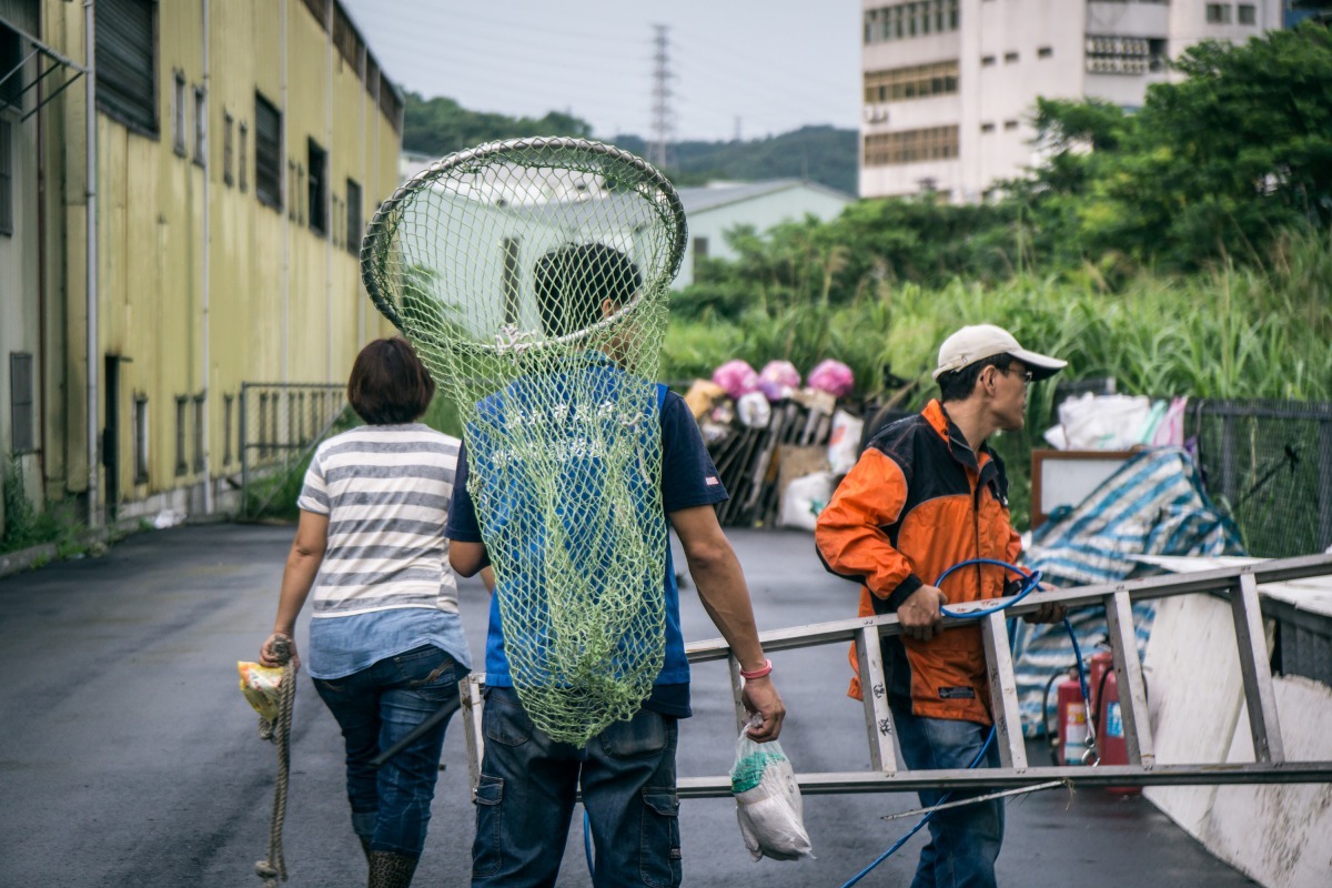 新北市宣布，不等明年，今年10月起，先將動物救援業務從消防局收回，明年則收回「捕蜂捉蛇」業務。新北市動保處/提供