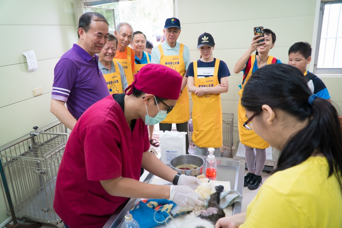 新北市動保處精心設計「動保小小兵」和「動保小尖兵」體驗課程，歡迎親子報名。新北市動保處/提供