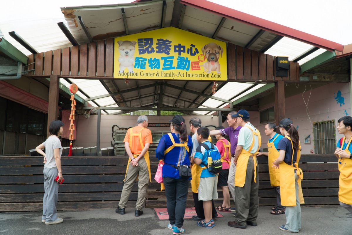 藉由孩子和動物的互動，讓他們感受這些毛寶貝熱情的生命力。新北市動保處/提供