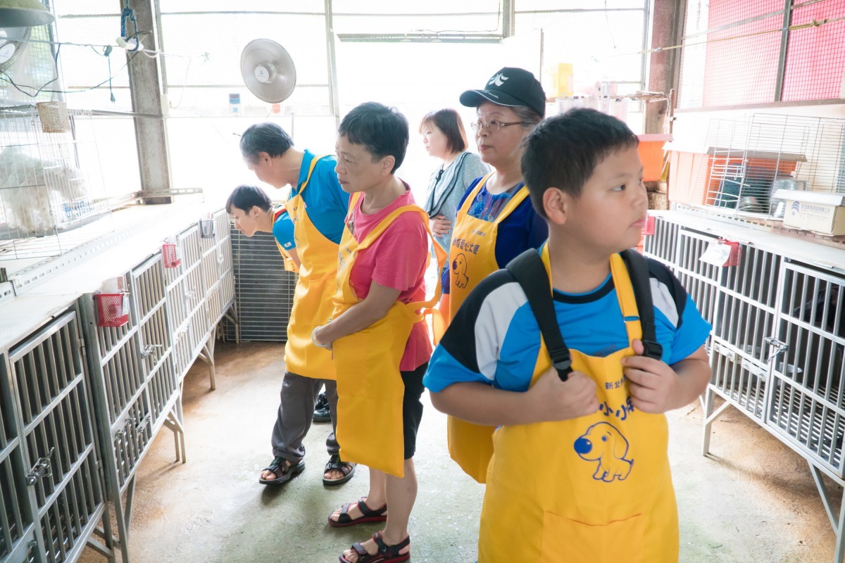 「毛寶貝生命教育中心」，開放家長帶著小朋友一起到板橋動物之家體驗動保員的日常。新北市動保處/提供