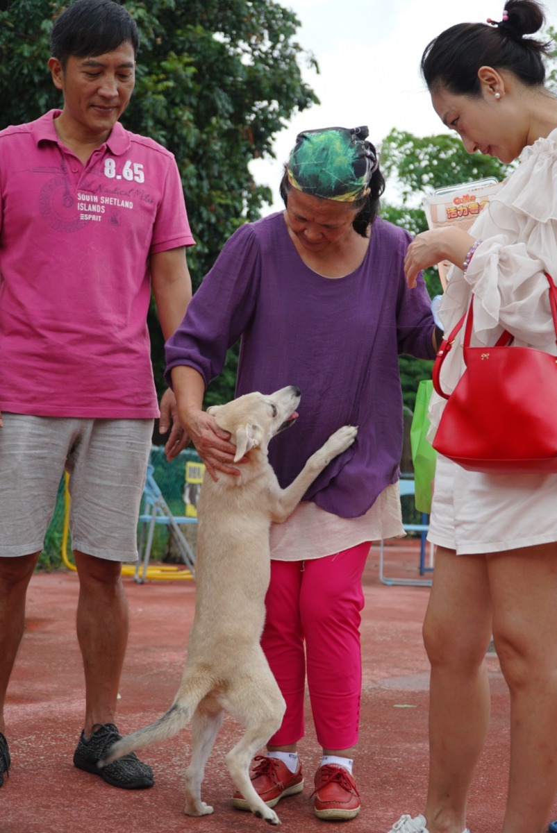 莉妹兒mia與于冠華一家人互動熱絡。新北市動保處/提供