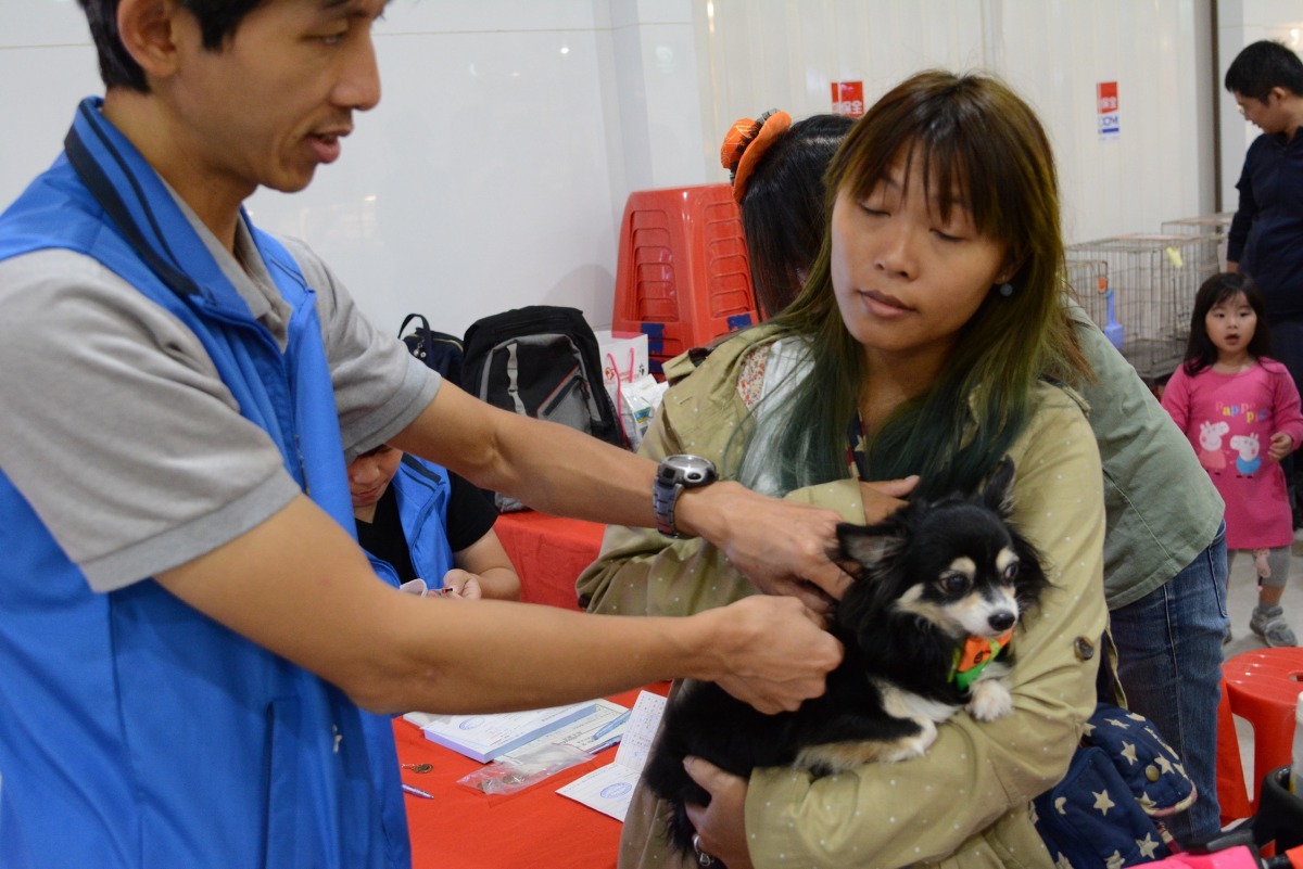 飼主帶寵物來參加「毛寶貝萬聖變裝趴」，順便施打疫苗辦理寵登。劉凱/翻攝