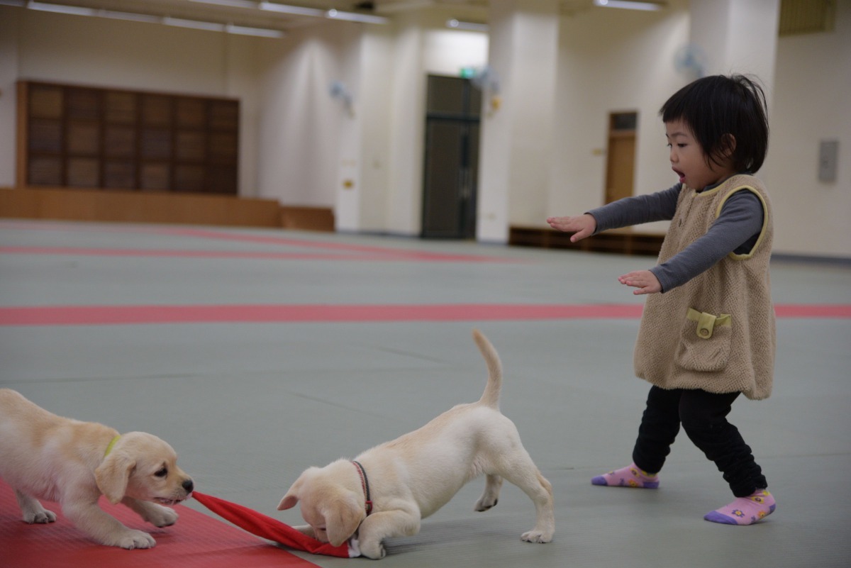澎湖縣警察局局長賈樂吉歡迎學校安排學童到警犬隊參訪。澎湖縣警察局/提供