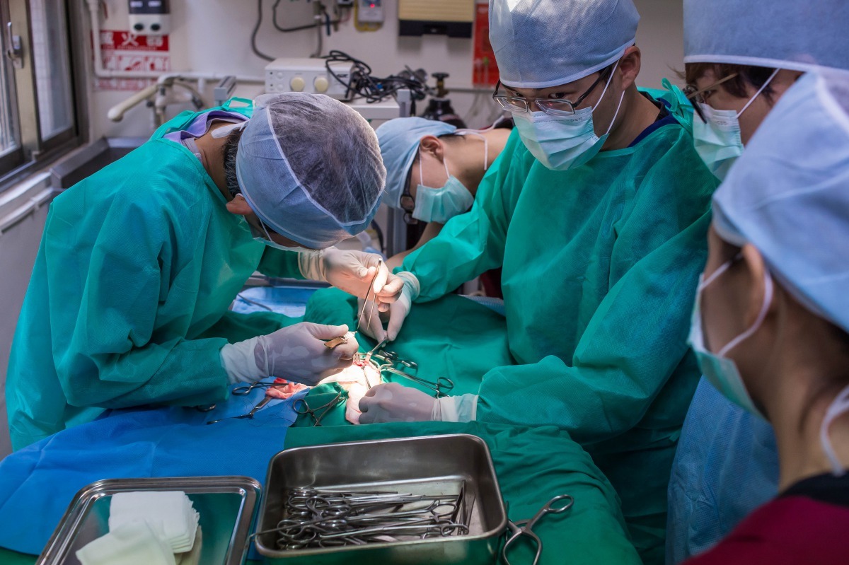 新北市動保處推動的動物醫療三級化及成立動物醫療中心，有助動物救援作業提前回歸，圖為動物醫療中心獸醫師手術搶救中。新北市動保處/提供