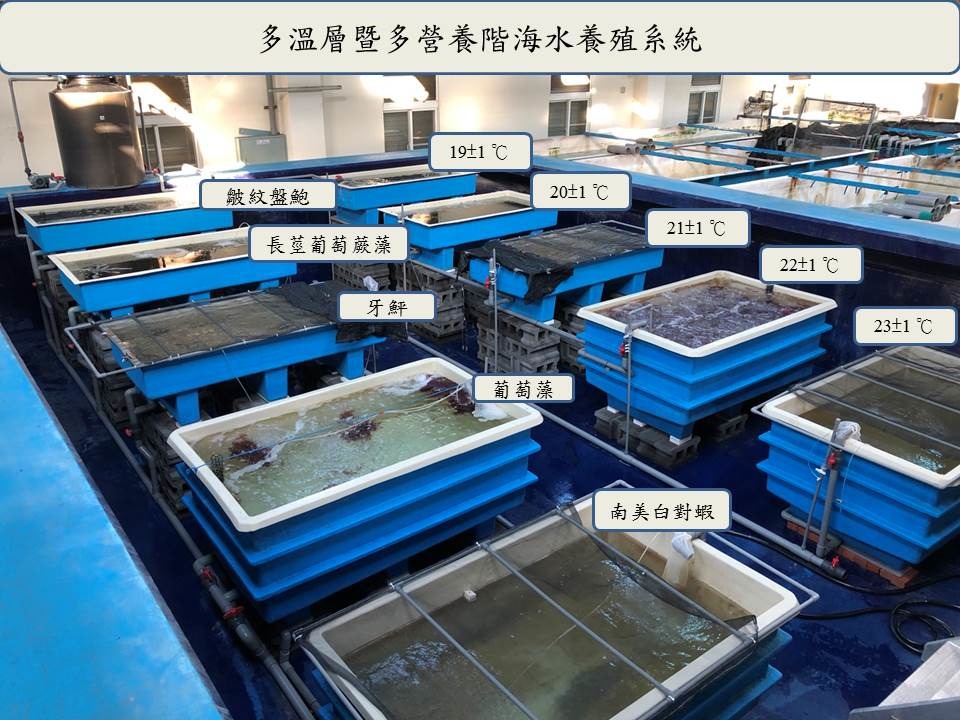 多溫層暨多營養階海水養殖系統-室內養殖設施。農委會水試所/提供