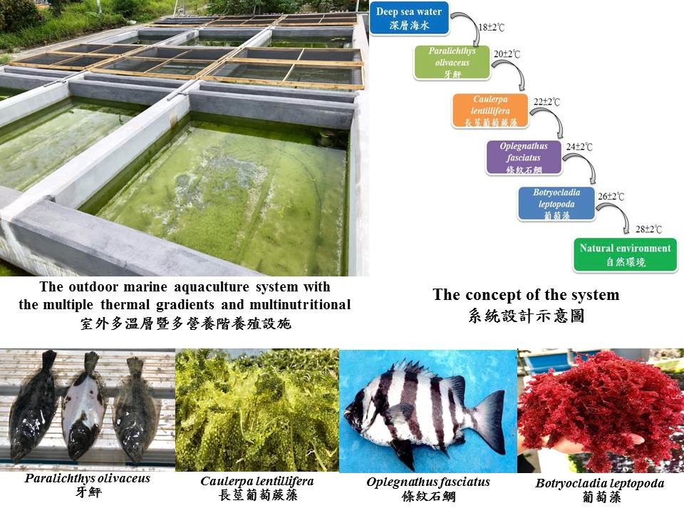 多溫層暨多營養階海水養殖系統-室外養殖設施。農委會水試所/提供