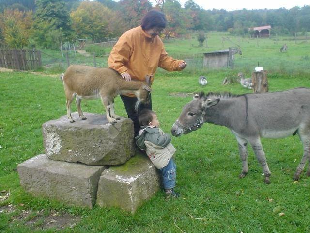人類和動物自古以來，就有密不可分的関係。劉威良/提供