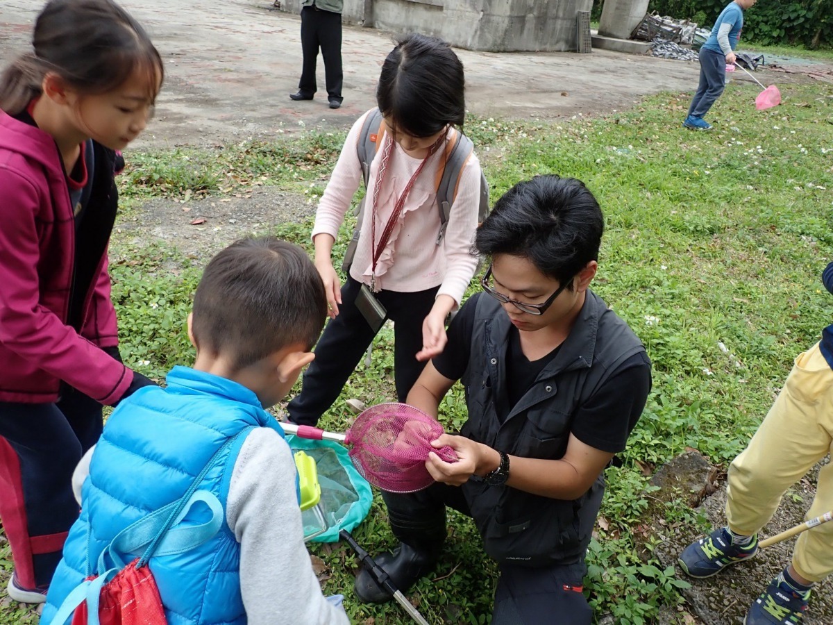孩子們拿著捕蟲網在戶外抓蝴蝶。臺北市教育局/提供