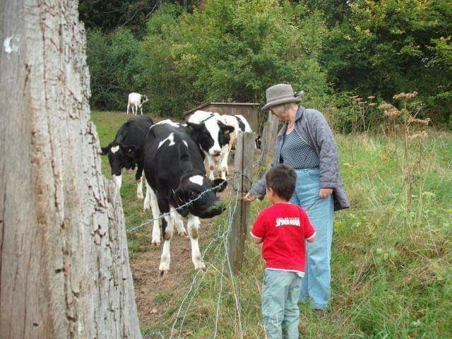 人類為降低屠宰動物的良心譴責，而把所有被吃食與被屠宰使用的動物統稱為經濟動物。劉威良/提供