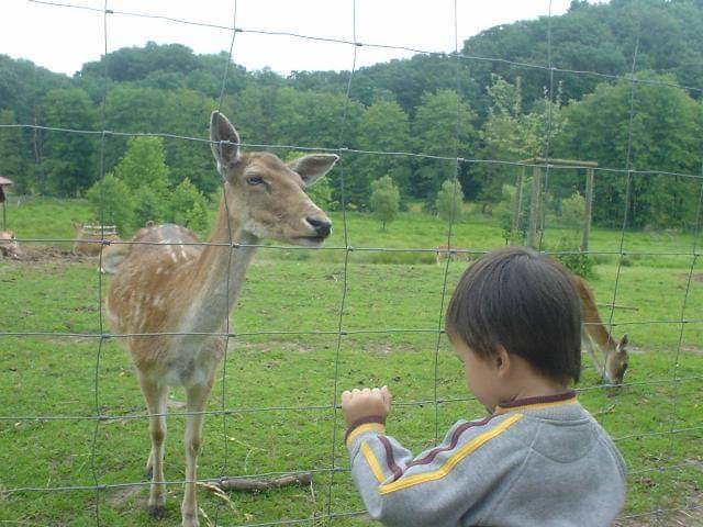 動物們的存在其實與每個人的存在都是同等重要，都是大自然的一部分。劉威良/提供