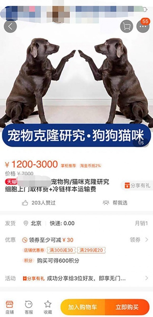 淘寶上能輕易地找到克隆寵物的項目。 圖片來源：北京青年日報