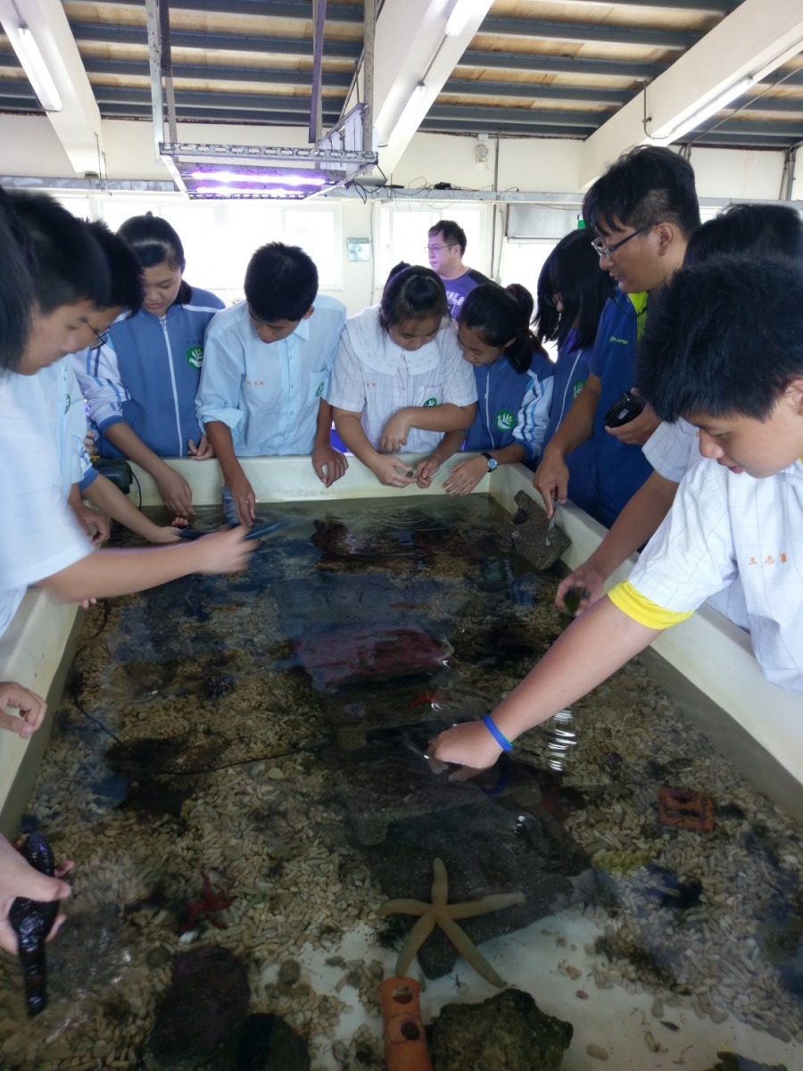 跟著專業的導覽人員，帶您與九孔和海洋生物來場最親密的接觸！新北市政府/提供