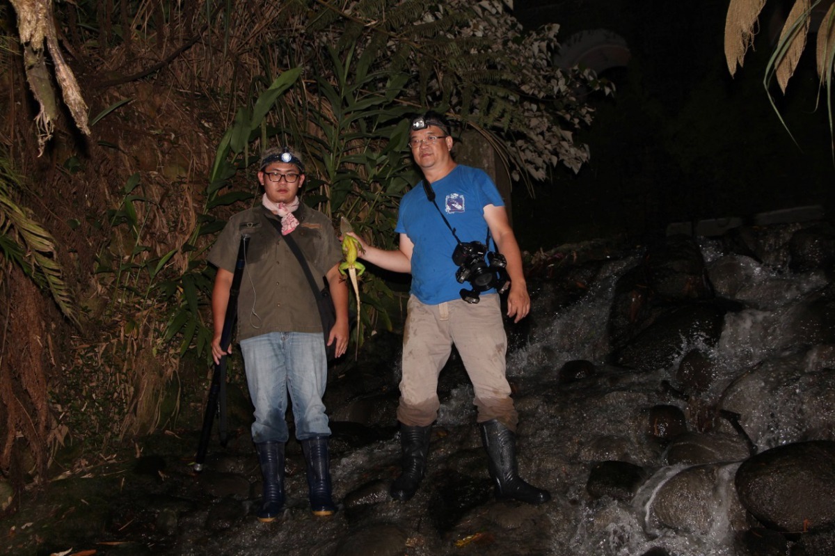 工作人員於紅水仙溪壩體下方移除亞洲水龍的情形。新北市政府/提供