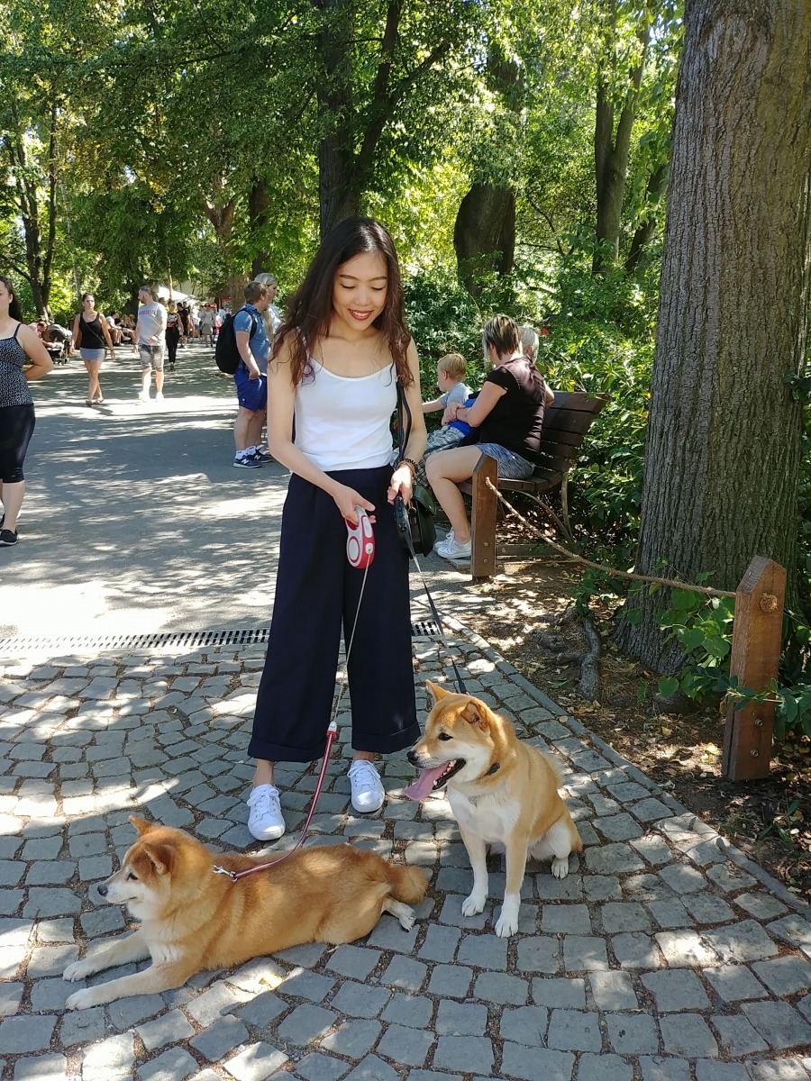 狗友善在捷克不只是個口號，布拉格動物園當然也開放主人與狗狗同遊動物園。李育璇/提供