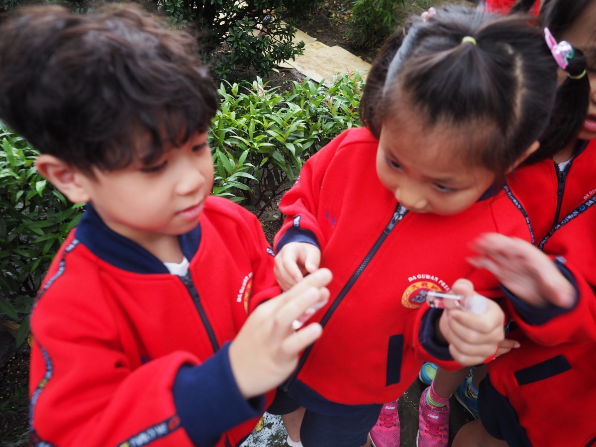 小朋友們認真研究螢火蟲。新北市文化局/提供