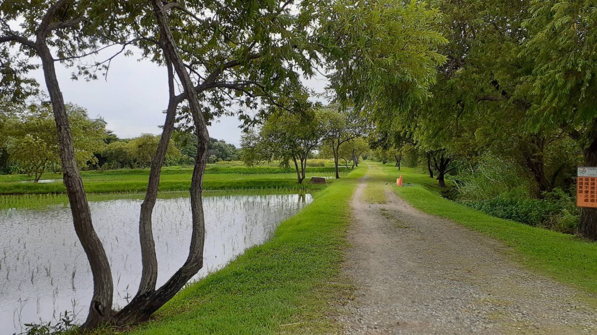 河濱自行車道沿岸風景優美適合賞鳥。新北市動保處/提供
