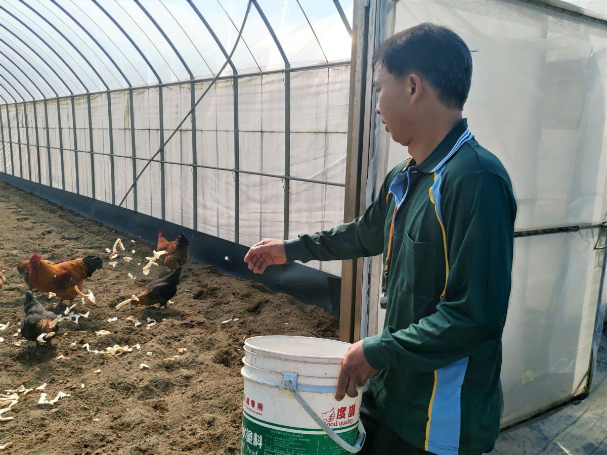 「米力農場」裡所有動物都各司其職。新北市政府/提供