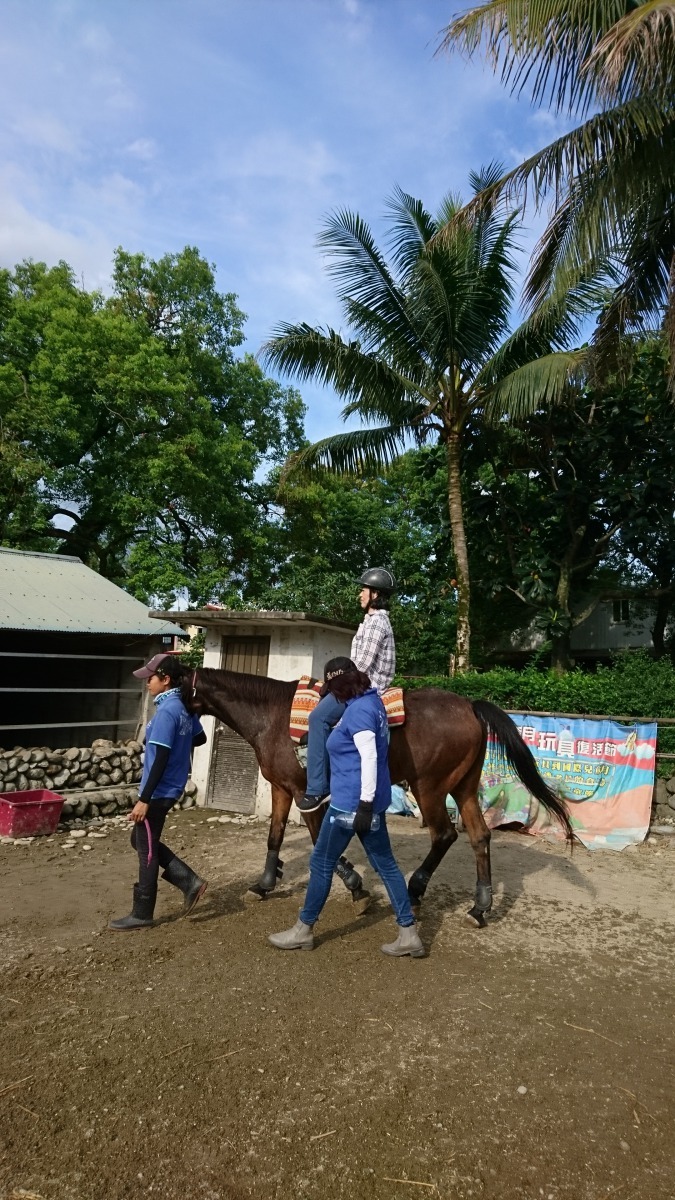 馬療的治療在患有左右方向混淆的病患上,也被證實有矯正的效果。劉威良提供
