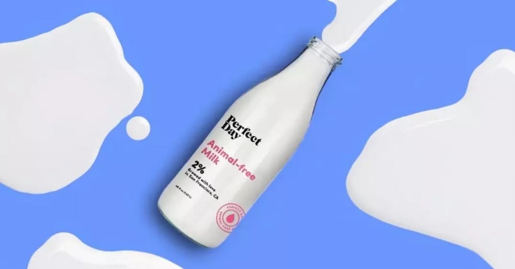 Perfect Day的人造牛將進入量產。圖片來源／Perfect Day